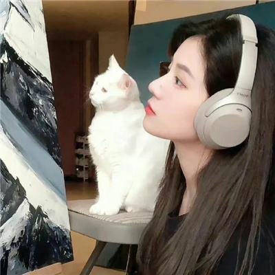 毒枭煮妇